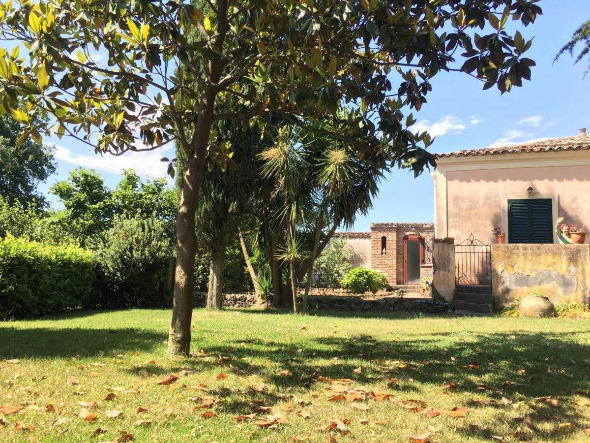 Bed And Breakfast Il Glicine Piedimonte Etneo Quarto foto