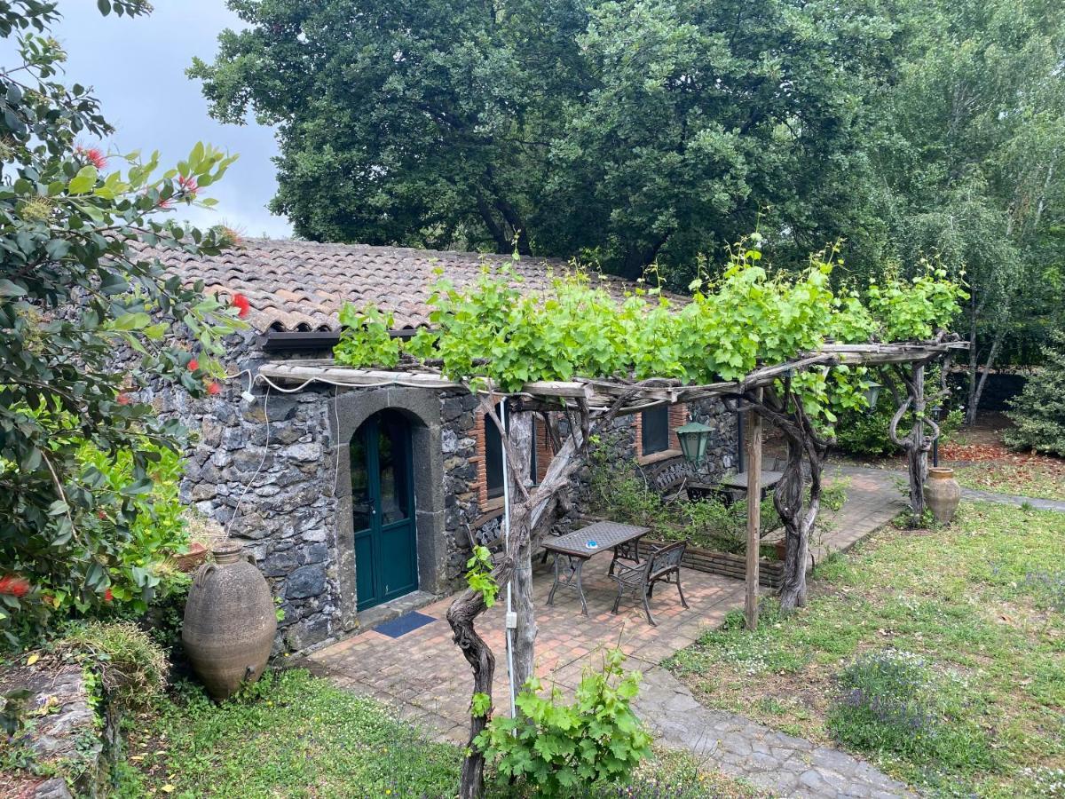 Bed And Breakfast Il Glicine Piedimonte Etneo Exterior foto
